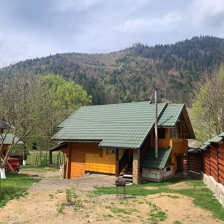 Еко Будинок В Горах Verkhnyaya Bystra Zewnętrze zdjęcie
